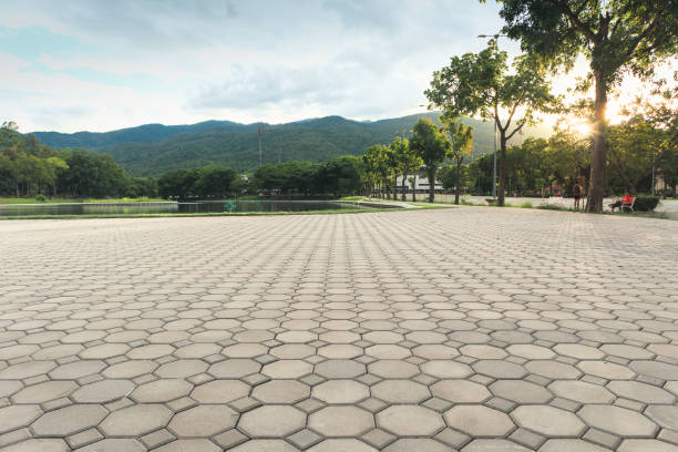 Best Professional Driveway Pavers  in Santa Anna, TX